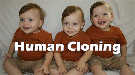 human clones in bags|cloning of humans.